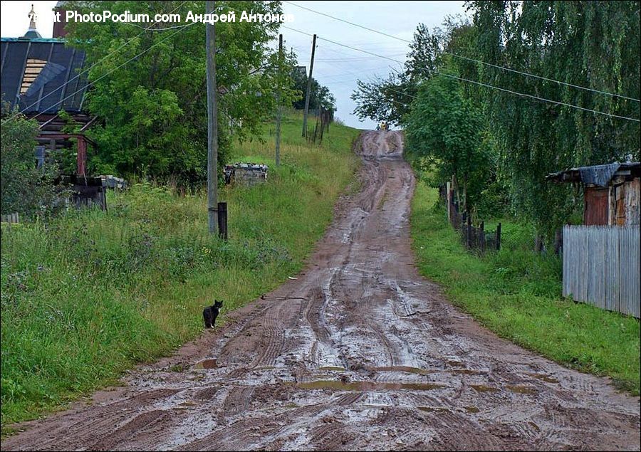 Dirt Road, Gravel, Road, Soil, Cabin, Hut, Rural