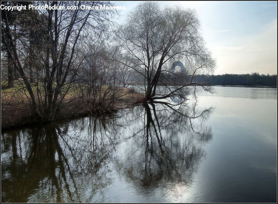 Flood, Landscape, Nature, Scenery, Plant, Tree, Water