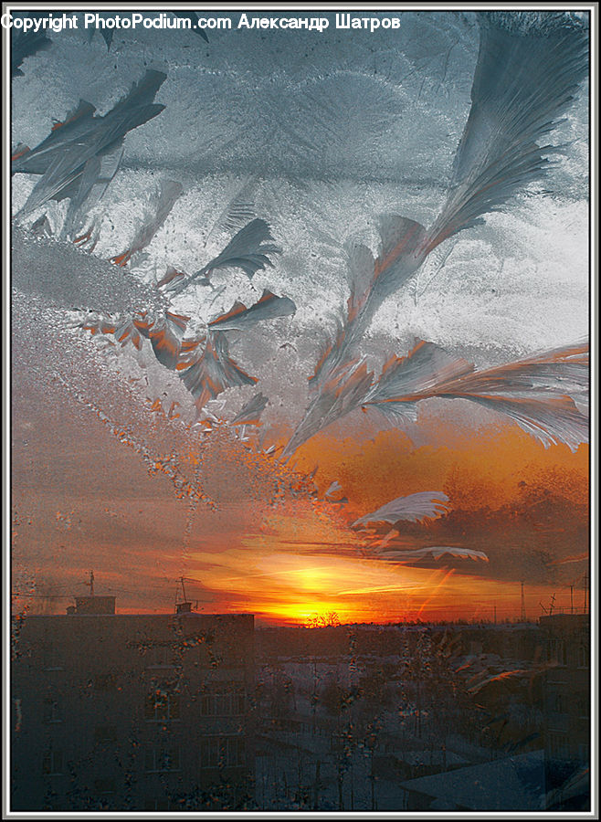Frost, Ice, Outdoors, Snow, Brick, Dawn, Dusk