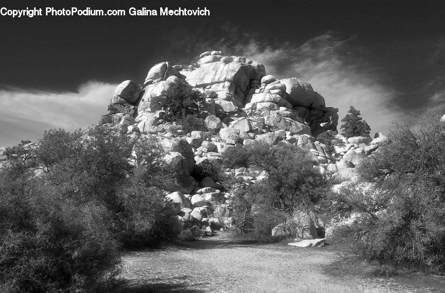 People, Person, Human, Rock, Rubble, Bush, Plant