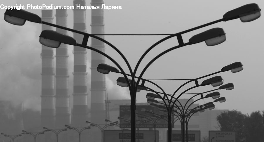 Canopy, Silhouette, City, Downtown, Urban, Lighting, Plant