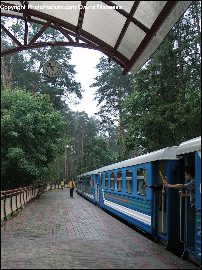 Path, Sidewalk, Walkway, Train, Vehicle, Canopy, Building