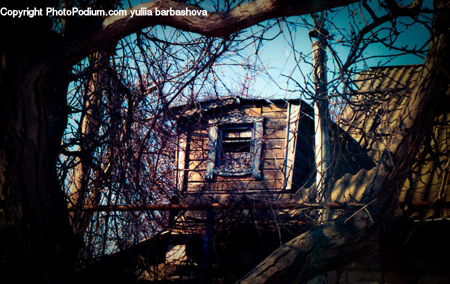 Conifer, Fir, Plant, Tree, Cabin, Tree House, Wire