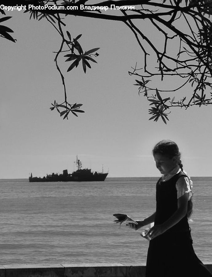 People, Person, Human, Battleship, Cruiser, Destroyer, Ship