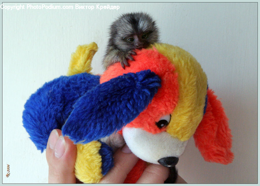 Toy, Cushion, Home Decor, Pillow