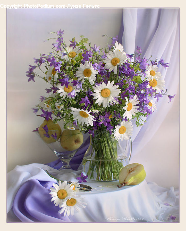 Plant, Potted Plant, Flower, Flower Arrangement, Flower Bouquet, Floral Design, Ikebana