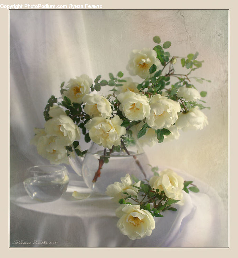 Floral Design, Flower, Flower Arrangement, Flower Bouquet, Ikebana, Blossom, Peony