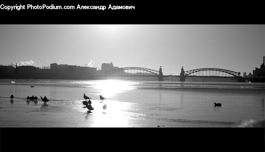 Bridge, Water, Arch, Arch Bridge, Silhouette, Outdoors, River
