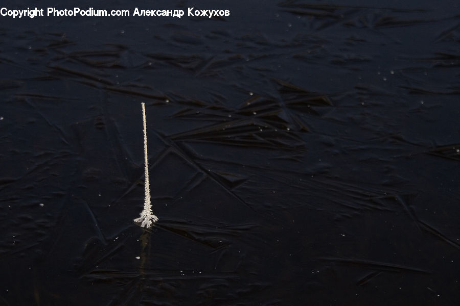 Outdoors, Ripple, Water