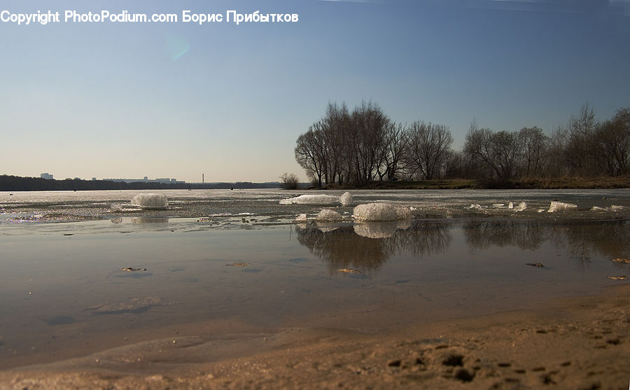 Land, Marsh, Pond, Swamp, Water, Landscape, Nature