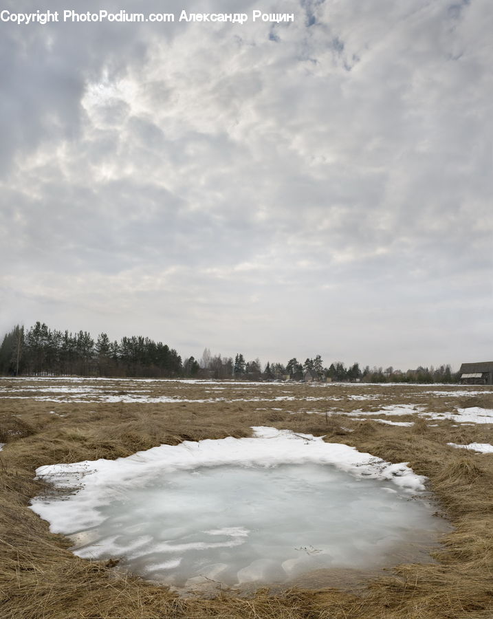 Land, Marsh, Pond, Swamp, Water, Soil