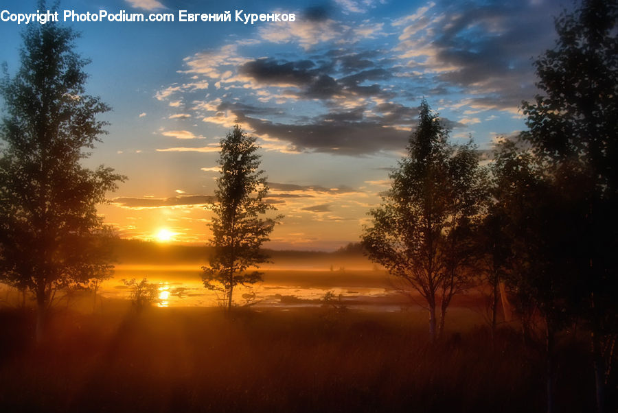 Dawn, Dusk, Sky, Sunrise, Sunset, Outdoors, Sun
