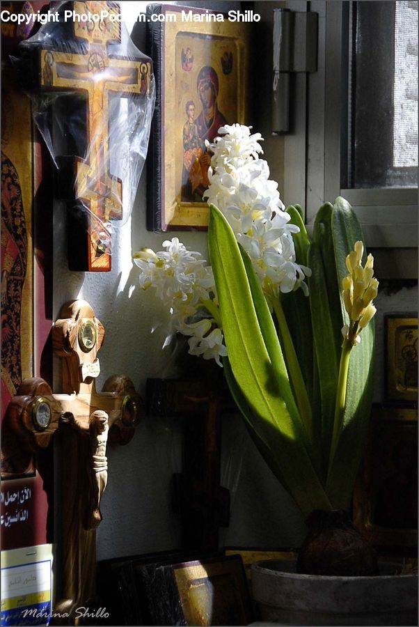 Blossom, Daffodil, Flora, Flower, Plant, Robot, Floral Design