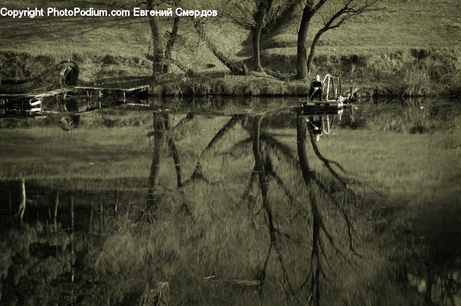 Countryside, Outdoors, Land, Marsh, Pond, Swamp, Water