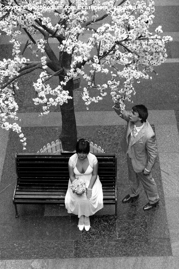 Human, People, Person, Blossom, Flora, Flower, Plant