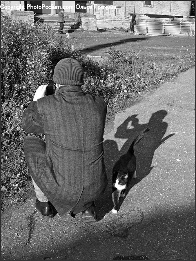 People, Person, Human, Asphalt, Tarmac, Animal, Adorable