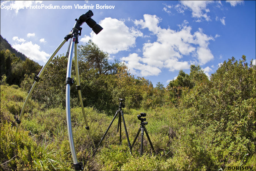 Tripod, Bicycle, Bike, Mountain Bike, Vehicle, Plant, Vegetation