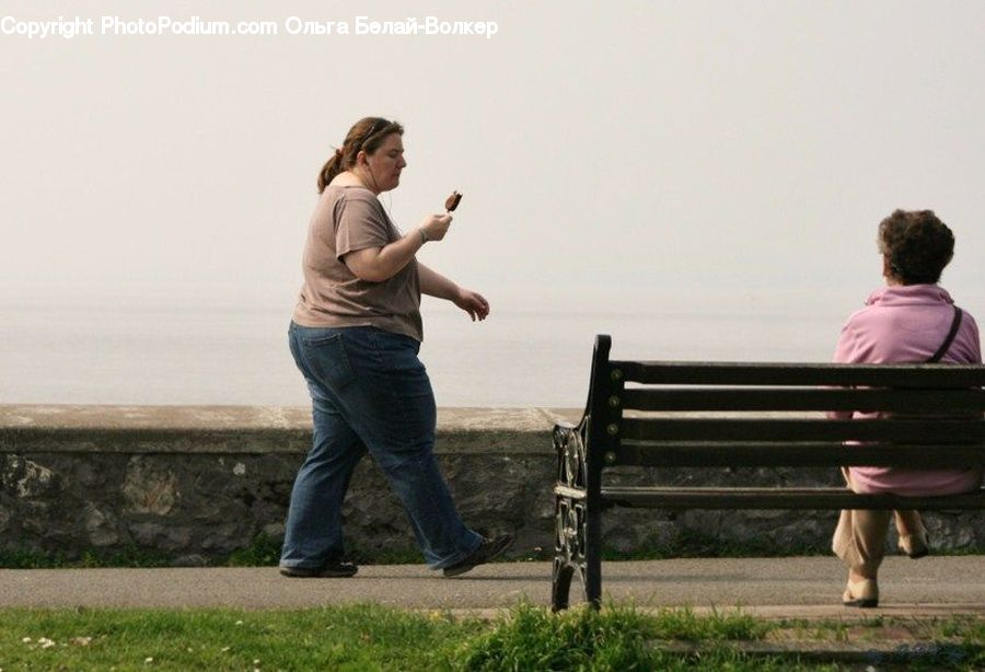 Human, People, Person, Back, Bench, Sitting, Computer