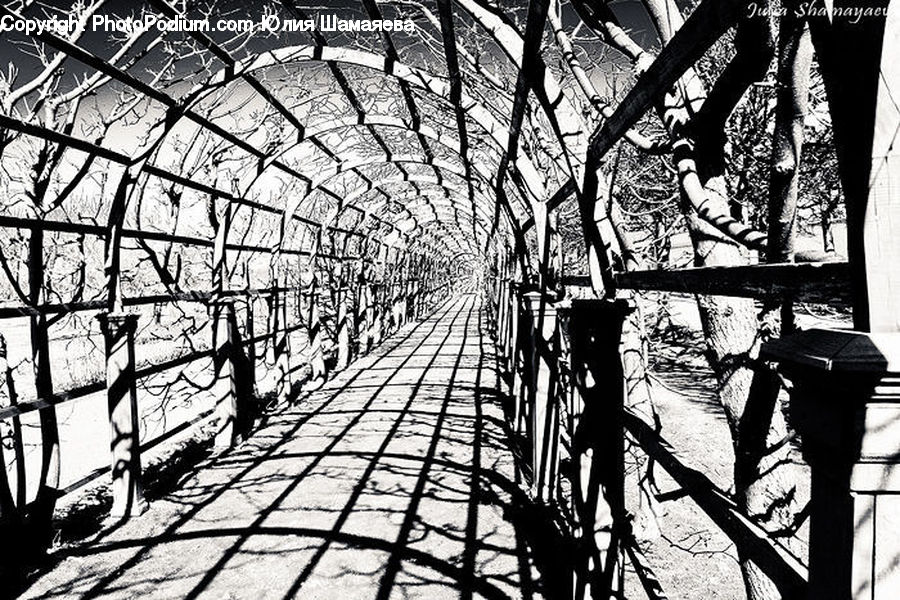 Greenhouse, Silhouette, Boardwalk, Path, Pavement, Sidewalk, Walkway