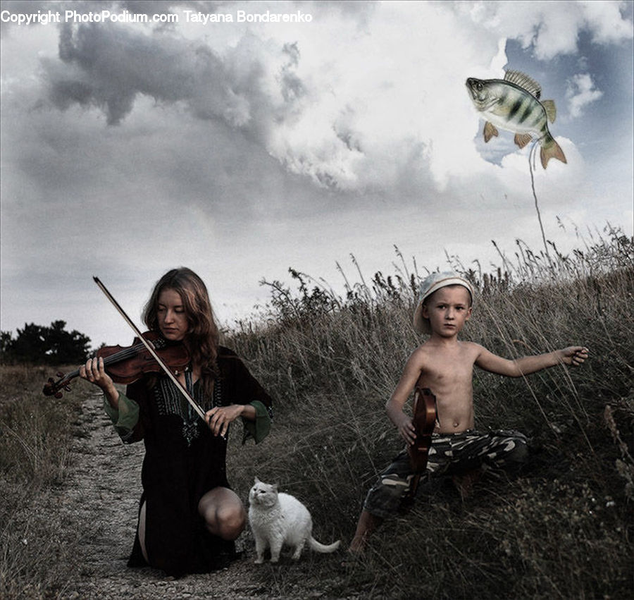 Human, People, Person, Cello, Fiddle, Musical Instrument, Violin