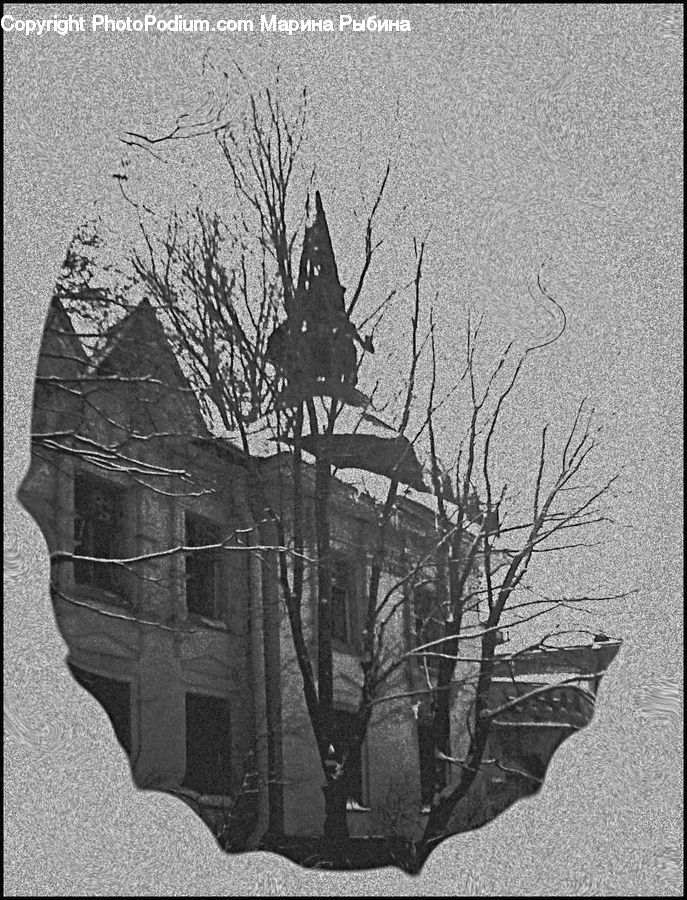 Flyer, Poster, Plant, Tree, Potted Plant, City, Downtown