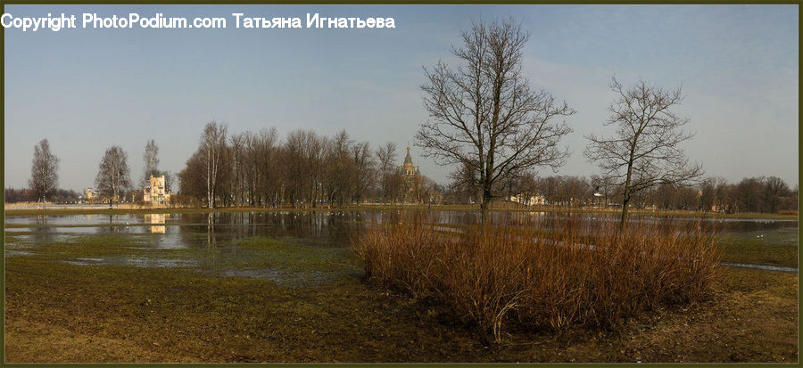 Land, Marsh, Outdoors, Swamp, Water, Flood, Pond