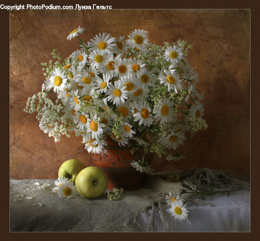Bird Nest, Nest, Daisies, Daisy, Flower, Plant, Flower Arrangement