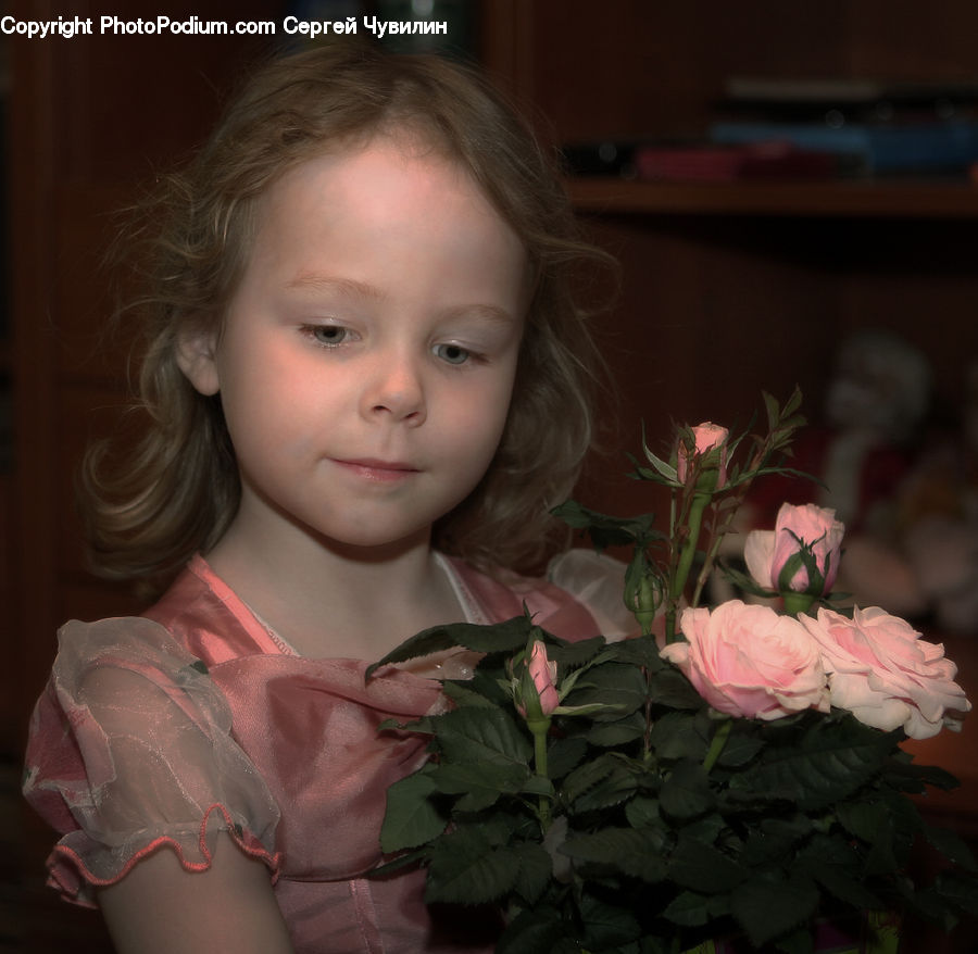 Human, People, Person, Plant, Potted Plant, Blossom, Flower