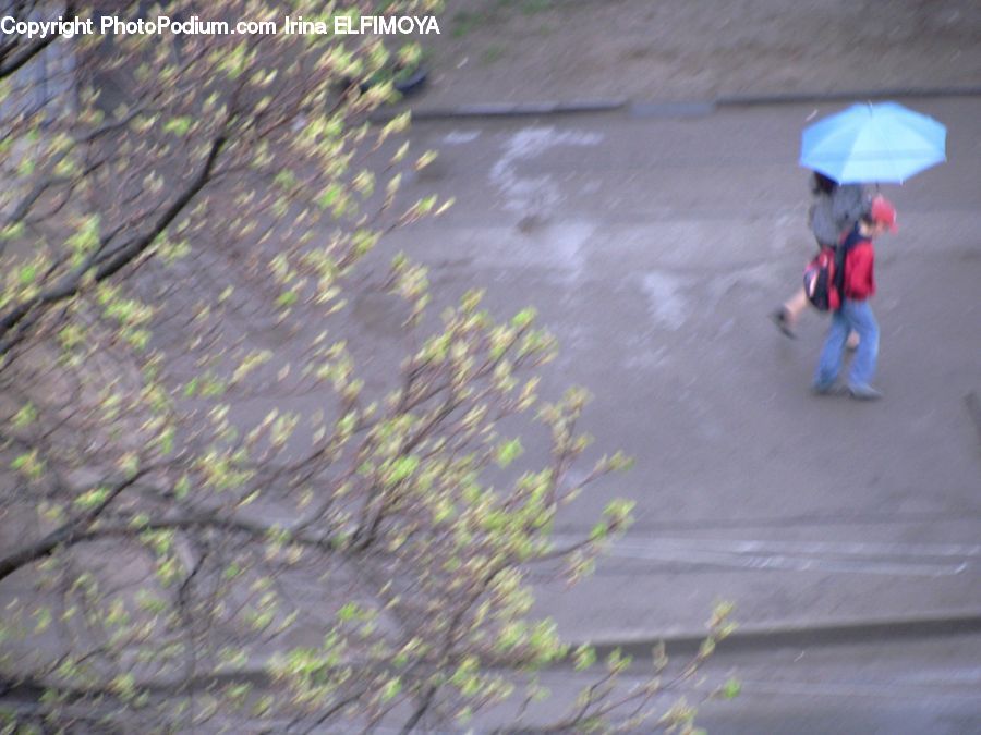 Umbrella, People, Person, Human, Dirt Road, Gravel, Road