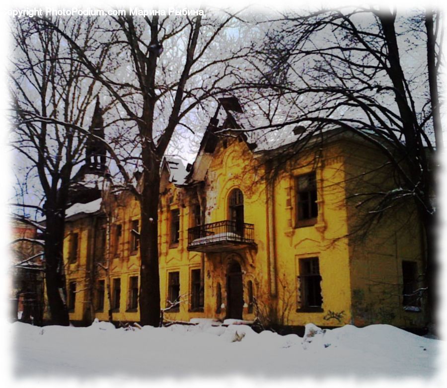 Ice, Outdoors, Snow, Plant, Tree, Building, Cottage