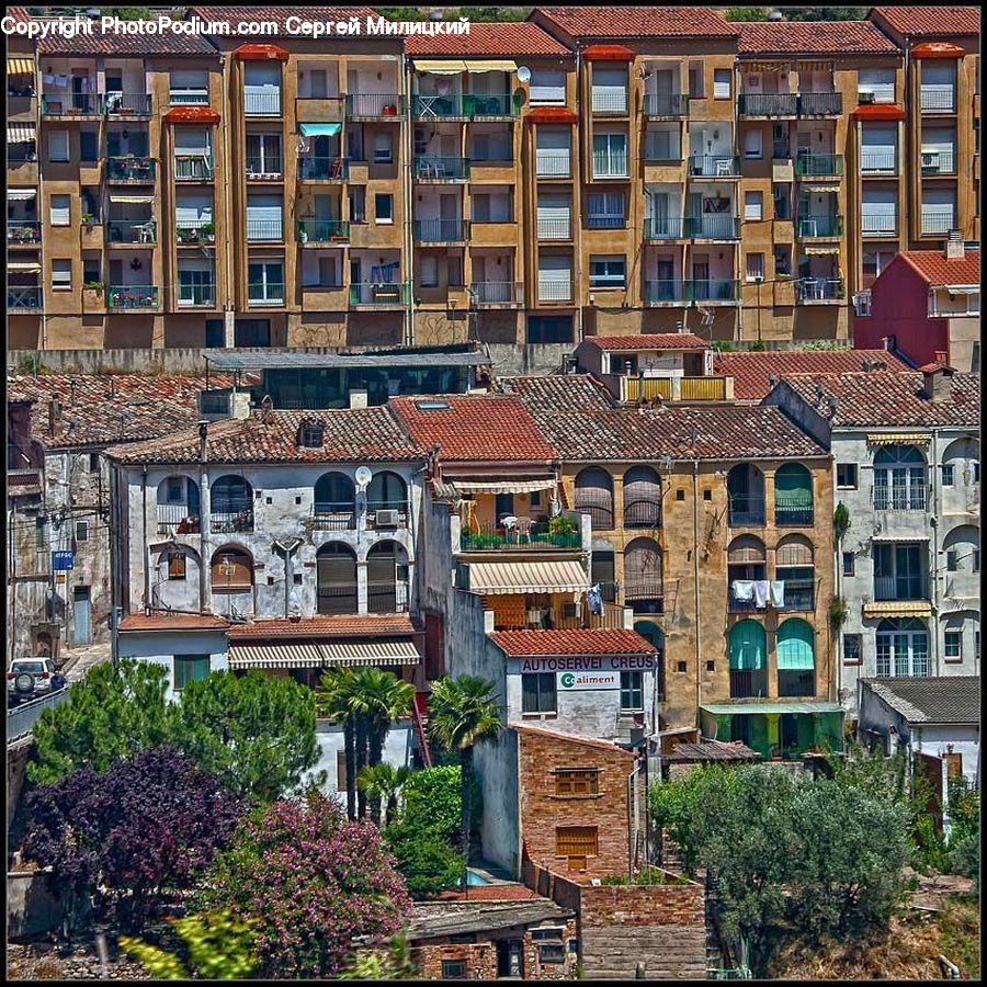 Building, Housing, Fence, Hedge, Plant, Apartment Building, High Rise