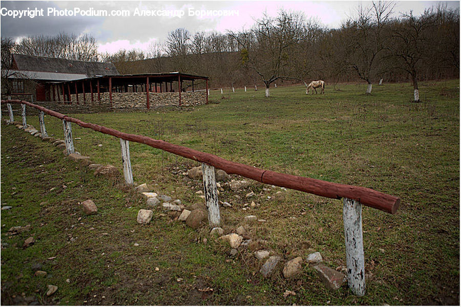 Rubble, Ground, Soil, Field, Grass, Grassland, Plant