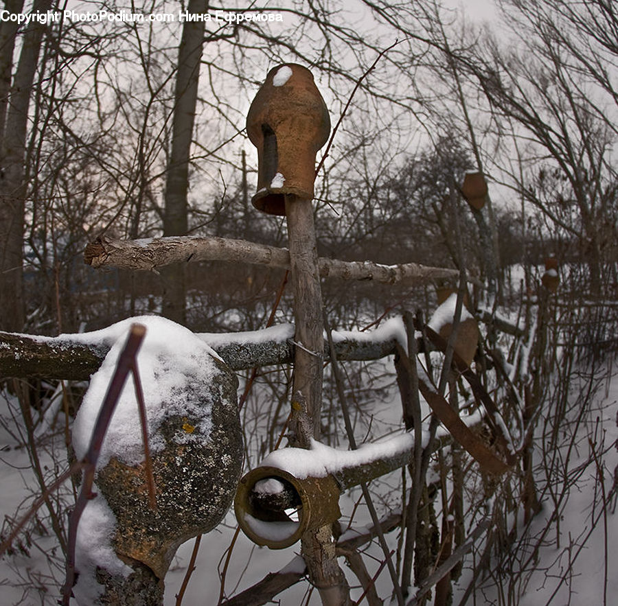 Blizzard, Outdoors, Snow, Weather, Winter, Ice, Oak