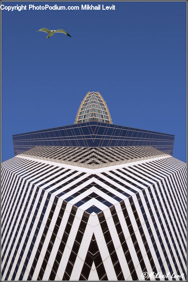 Building, Office Building, Architecture, City, Downtown, High Rise, Skyscraper