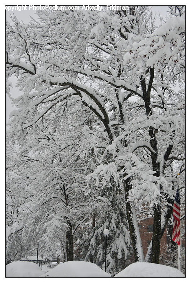 Ice, Outdoors, Snow, Atlas, Map, Paper, Plant