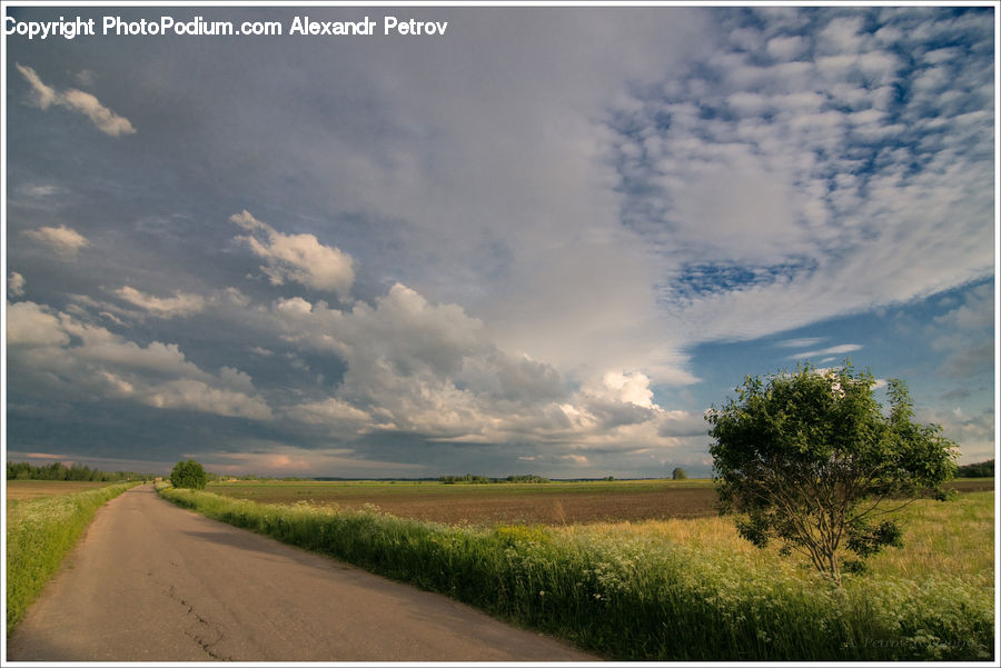 Dirt Road, Gravel, Road, Cloud, Cumulus, Sky, Landscape