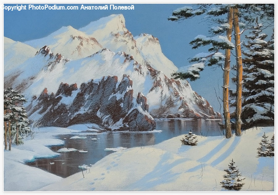 Arctic, Glacier, Ice, Mountain, Outdoors, Snow, Conifer