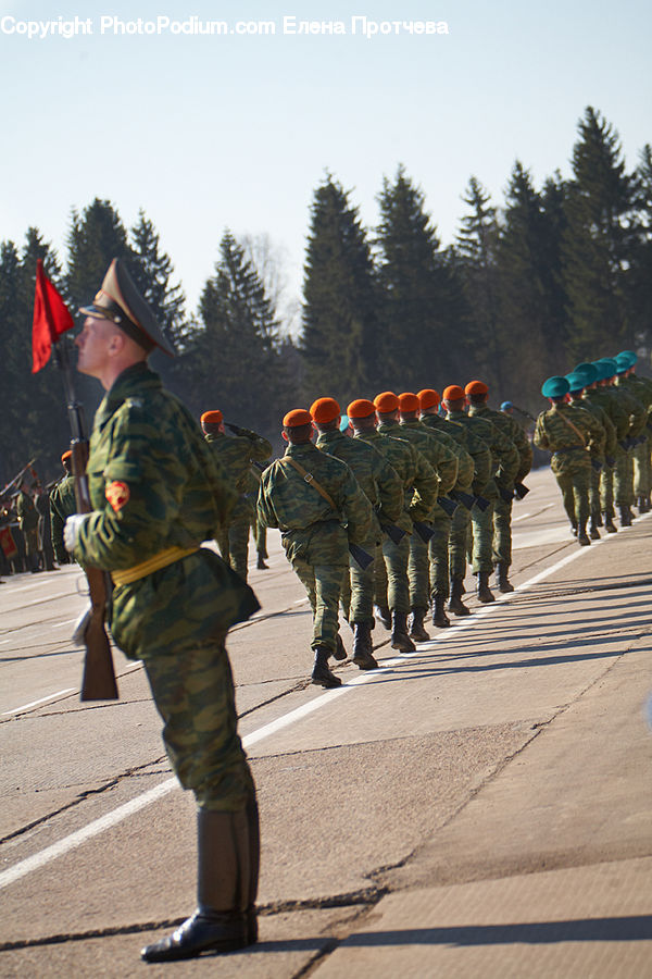 People, Person, Human, Military, Army, Military Uniform, Soldier