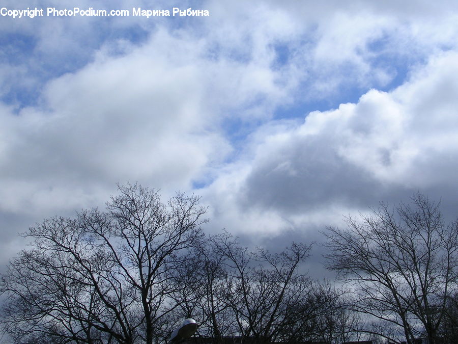 Azure Sky, Cloud, Outdoors, Sky, Cumulus, Landscape, Nature