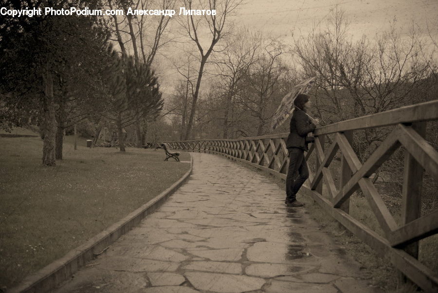 Exercise, Fitness, Jogging, Cobblestone, Pavement, Walkway, Path