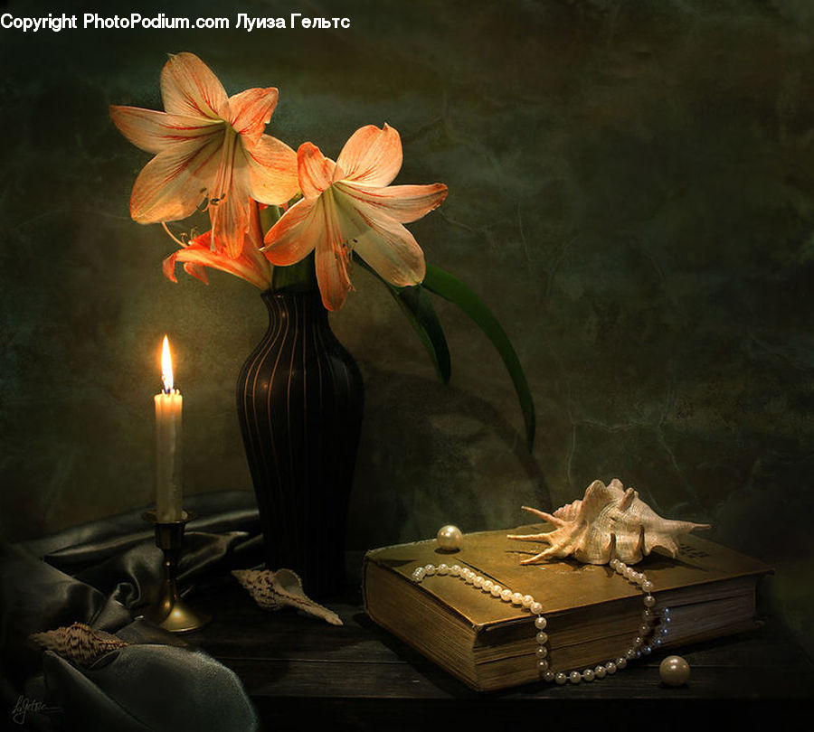 Floral Design, Flower, Flower Arrangement, Flower Bouquet, Ikebana, Footwear, Shoe