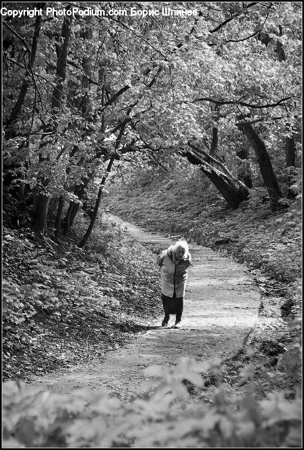 People, Person, Human, Leisure Activities, Walking, Path, Trail