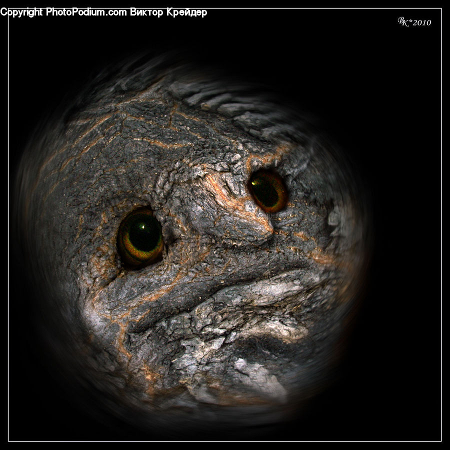 Hole, Beak, Bird
