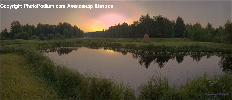 Outdoors, Pond, Water, Field, Grass, Grassland, Plant