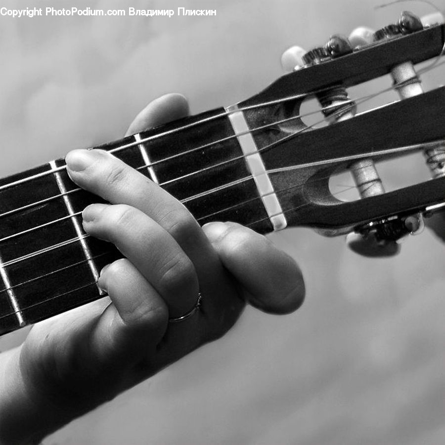 Electric Guitar, Guitar, Musical Instrument, Bass Guitar, Guitarist, Musician, Performer