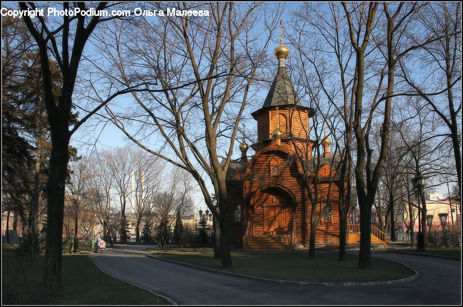 Architecture, Bell Tower, Clock Tower, Tower, Road, Park, Mansion