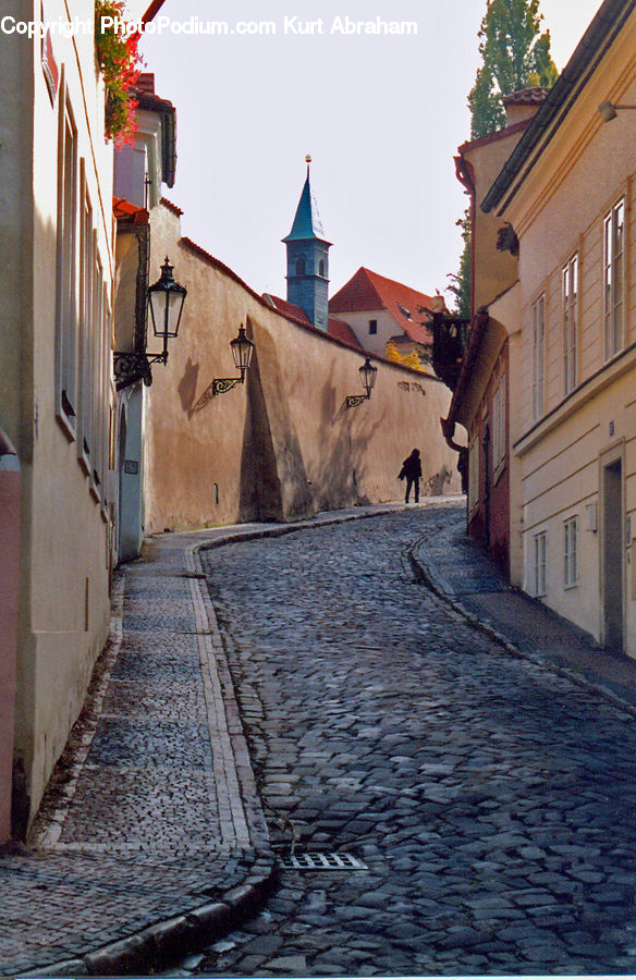 Cobblestone, Pavement, Walkway, Plant, Potted Plant, Alley, Alleyway