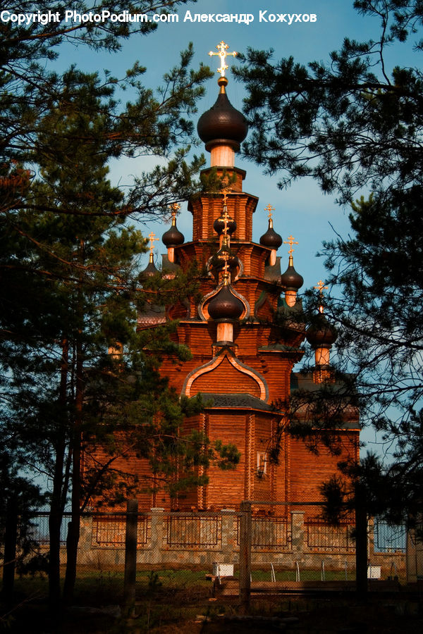 Architecture, Bell Tower, Clock Tower, Tower, Brick, Plant, Tree