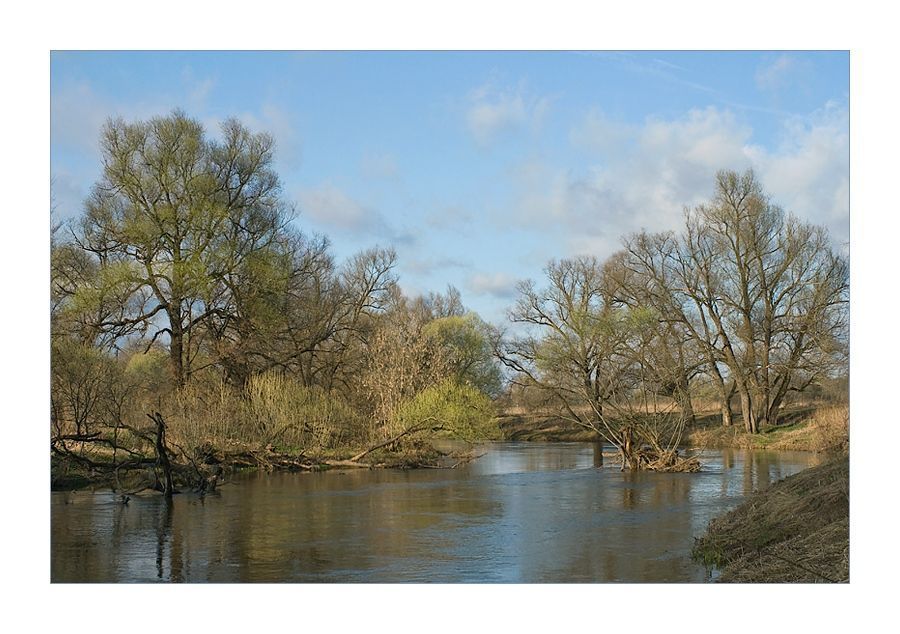 Flood, Land, Marsh, Outdoors, Swamp, Water, Landscape