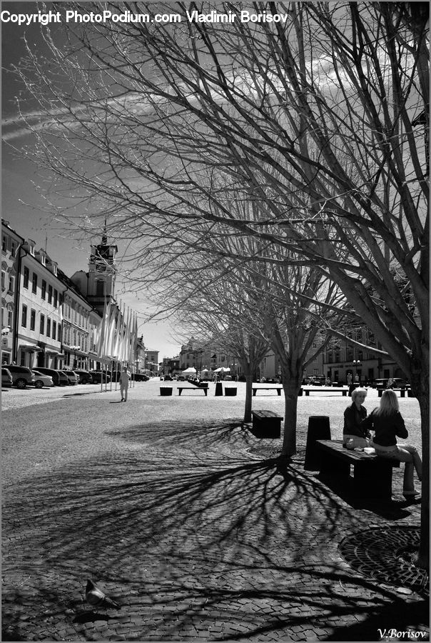 Boardwalk, Path, Pavement, Sidewalk, Walkway, Building, Downtown